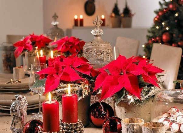 «Рождественская звезда» — что она принесет в ваш дом?!
